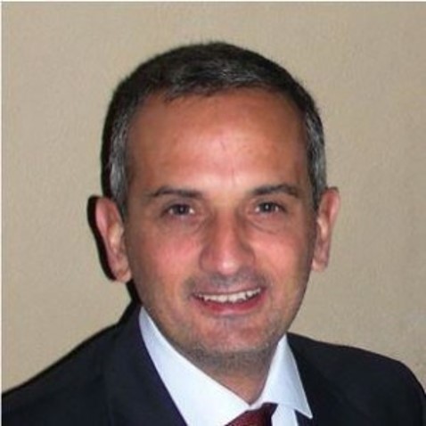 Domenico Talia